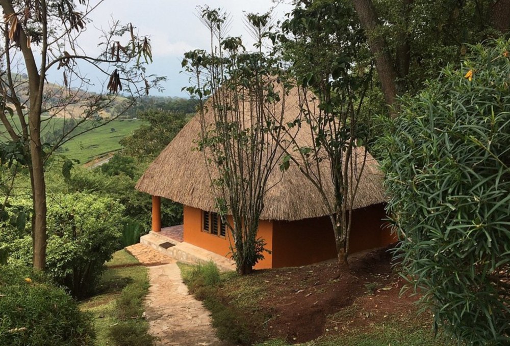 Chimpanzee Forest Lodge